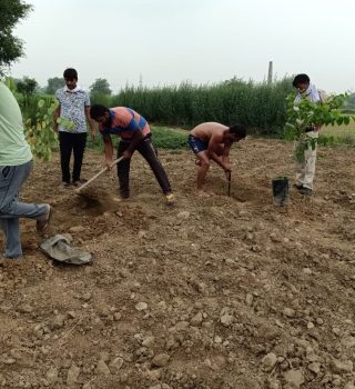 plant trees save the earth 1